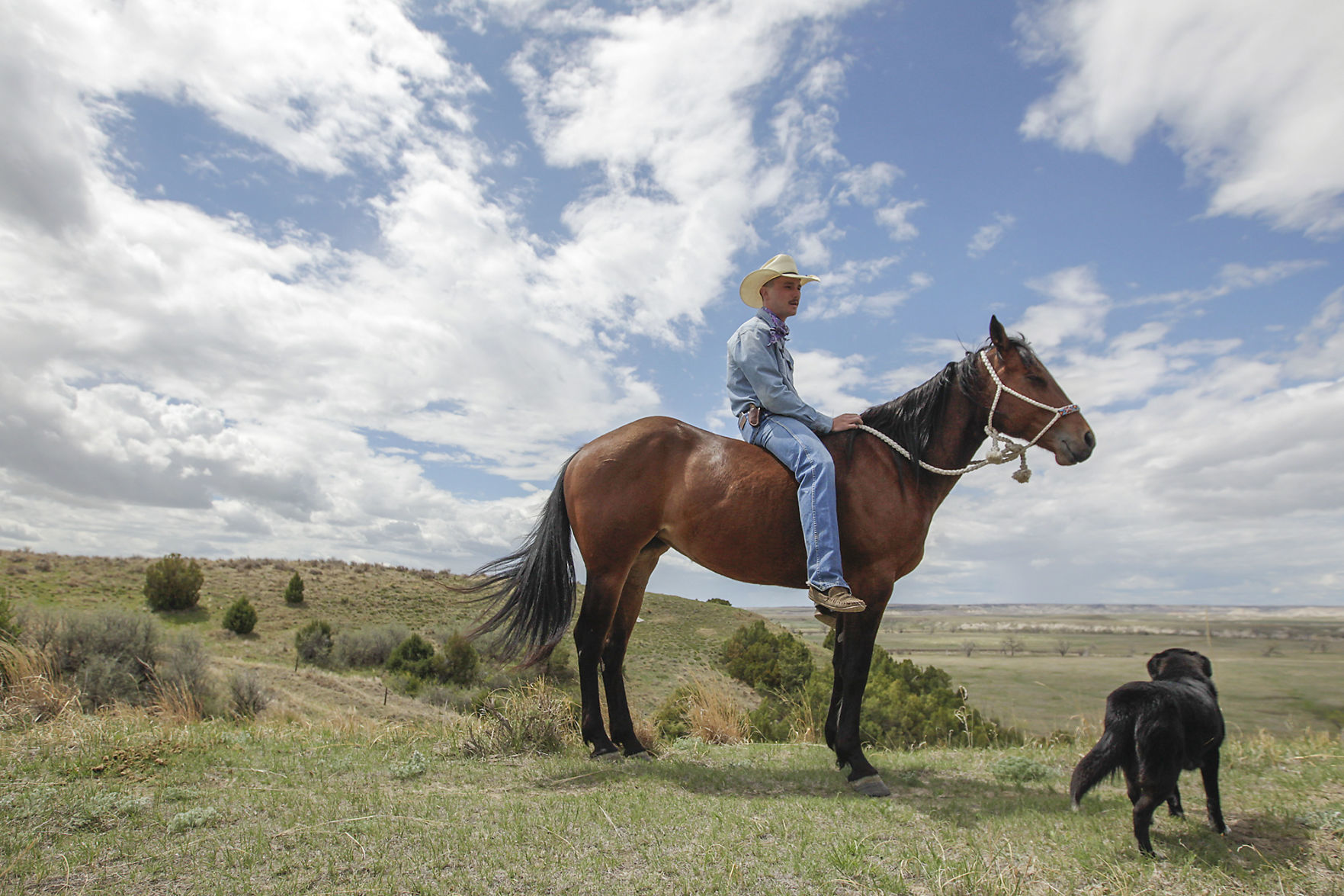 The Rider